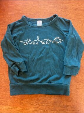Kids Bamboo Cotton Dinosaur Long Sleeve Sweatshirt Little and Lively Brand 1T/2T
